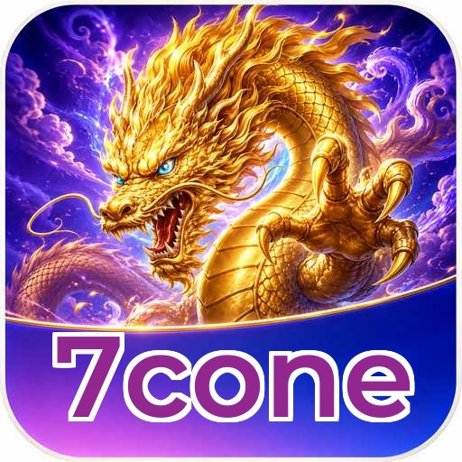 Performa 7cone
